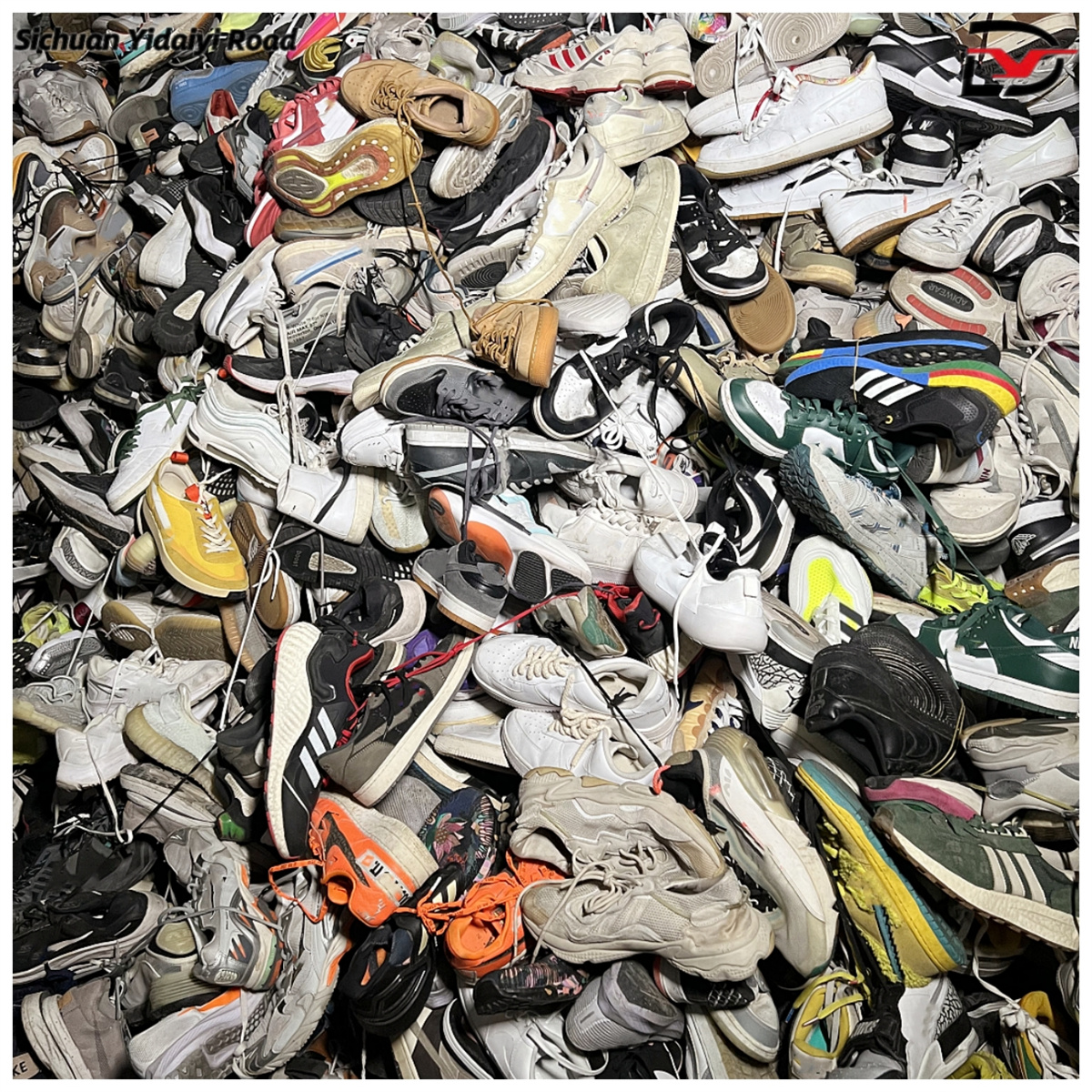 international brand shoes